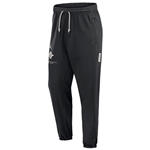 Nike Jordan Travel Pant Jumpman over SD Interlock