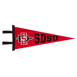 San Diego Wave Pennant