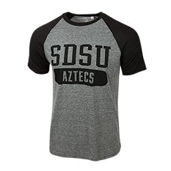 Nike SDSU Aztecs Tee-Gray