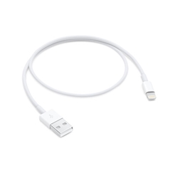 Apple 0.5M Lightning to USB Cable