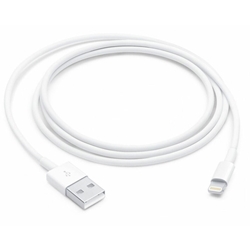 Apple Lightning to USB Cable (1M)